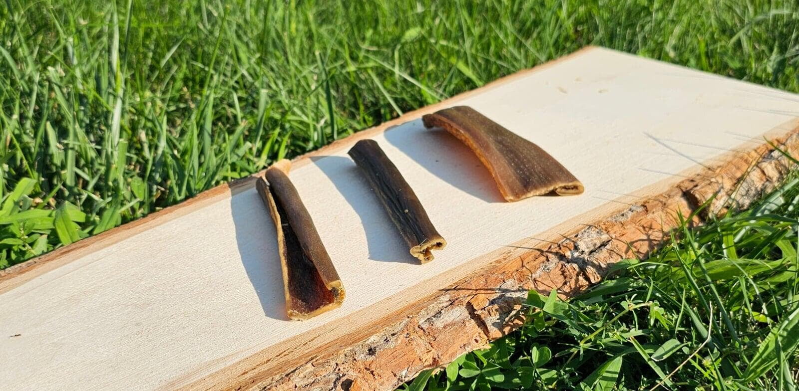 Deer Skin Strips