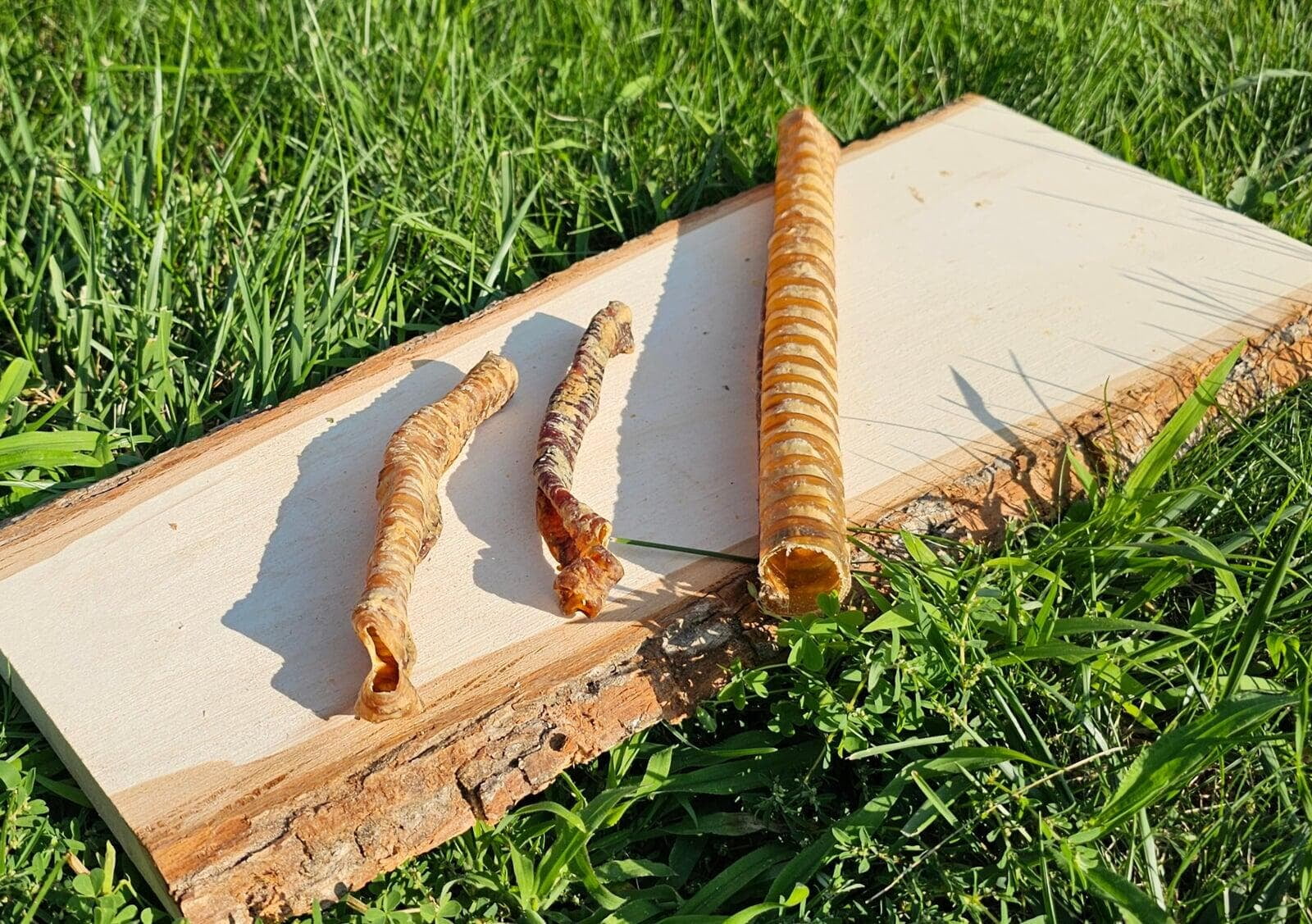 Lamb-Beef Trachea